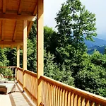 Apartman Alpin Penthouse Piesendorf